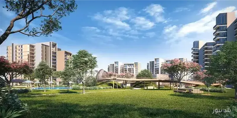 أربع قاصرات يفرن من حديقة زد بارك بالشيخ زايد خلال رحلة لدور الرعاية