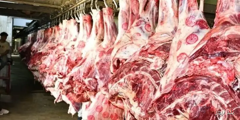 أسعار اللحوم في محلات الجزارة والمنافذ اليوم الخميس 18 سبتمبر 2025