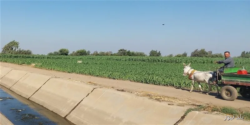 استراتيجية جديدة لوزارة الري تعتمد على التكنولوجيا الحديثة للتنبؤ بالأمطار ومتابعة الآبار الجوفية بالطائرات المسيرة