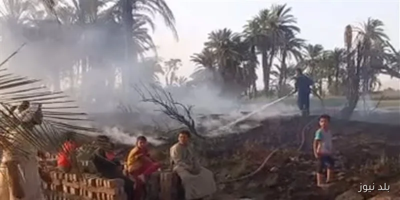 اشتعال 5 نخلات في قرية الباويطي بالواحات والحماية المدنية تتدخل دون خسائر بشرية