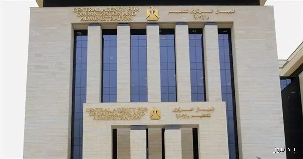 التنظيم والإدارة يستعين بأكثر من 870 متقدمًا من قوائم الانتظار في مسابقات اللغة الإنجليزية والدراسات والعلوم