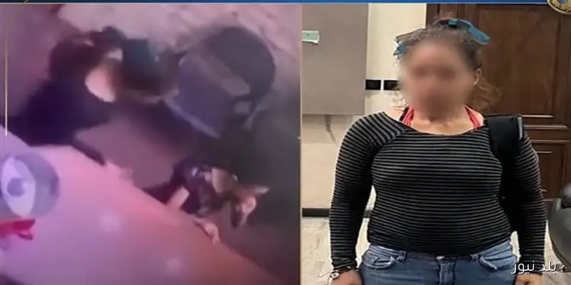 الداخلية توضح تفاصيل محاولة سيدة خطف طفلة في الإسكندرية وشقيقتها تعاني من انفصام