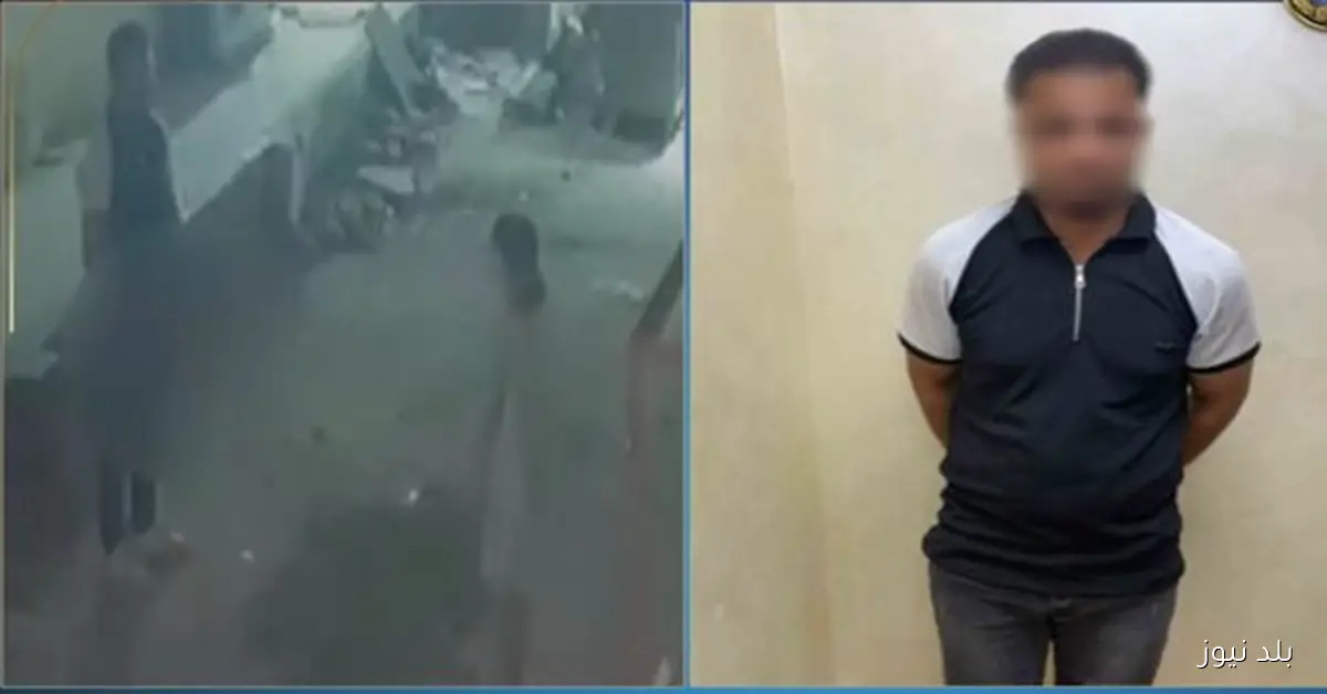 القبض على متهم بارتكاب أفعال خادشة للحياء في الدقهلية