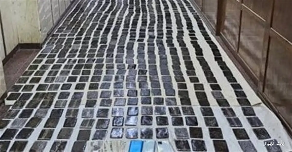 القبض على متهمين بغسل 30 مليون جنيه من عائدات الإتجار في المخدرات بالعقارات والأراضي