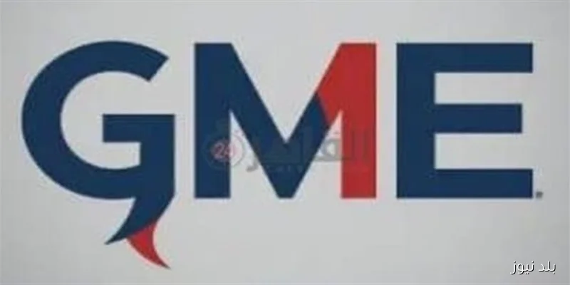 تأجيل محاكمة المتهمين في منصة GME بتهمة النصب على المواطنين إلى 14 أكتوبر