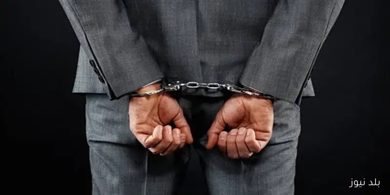 تجديد حبس مالك الشركة الدولية للاستشارات والتطوير الزراعي وشقيقه بتهمة الاستيلاء على أموال المواطنين