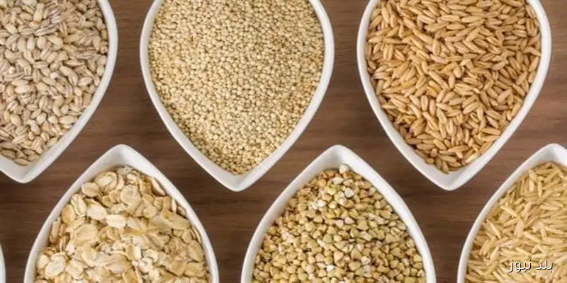 تراجع أسعار الذرة بعد ارتفاعها إلى أعلى مستوى في 3 أشهر