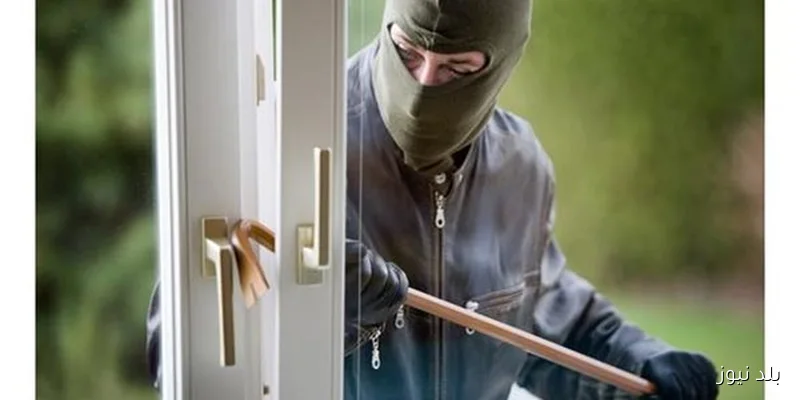 خادمة تتعاون مع عصابة لسرقة خليجي في الهرم