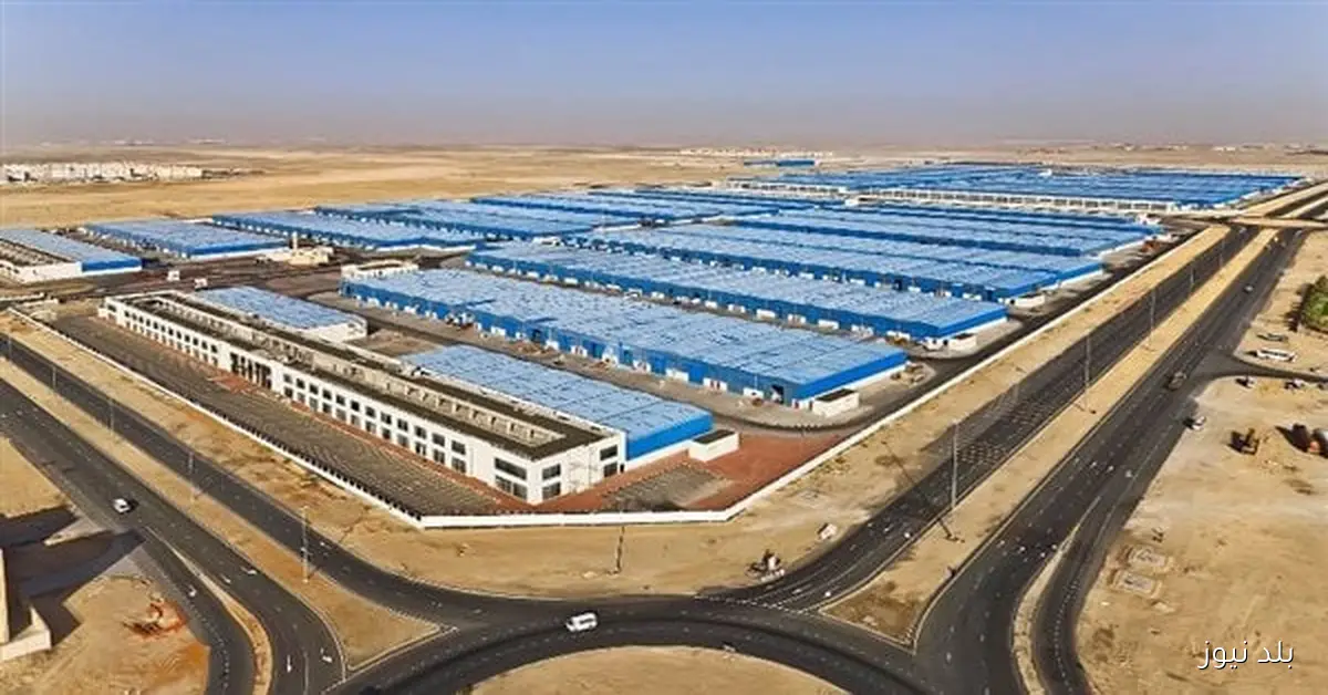 رئيس شعبة الجمارك بالإسكندرية يؤكد أهمية منطقة جرجوب الاقتصادية في تعزيز الاقتصاد الوطني