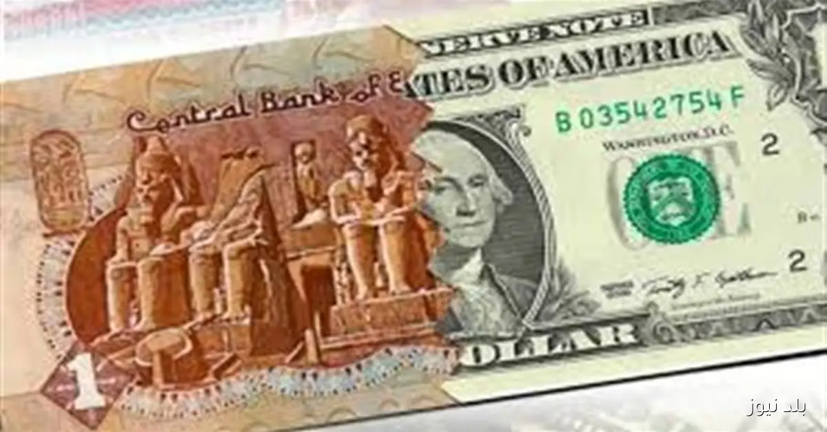 سعر الدولار مقابل الجنيه اليوم الاثنين 22 سبتمبر 2025 عند 48.29 جنيه