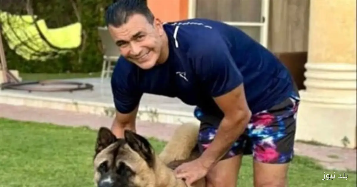 شاهد عيان يكشف تفاصيل جديدة في واقعة عقر كلب زوجة الحضري لمهندسة بالساحل الشمالي