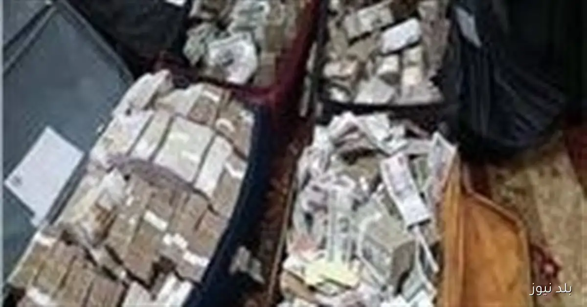 ضبط عنصر جنائي في الجيزة متورط في غسل 70 مليون جنيه من أموال النصب والاحتيال على المواطنين