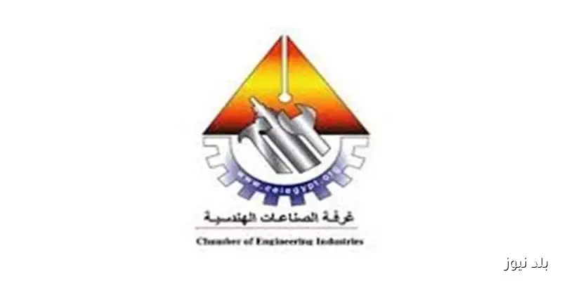 عضو غرفة الصناعات الهندسية يؤكد أن تكليفات الحكومة الأخيرة تعزز المكون المحلي