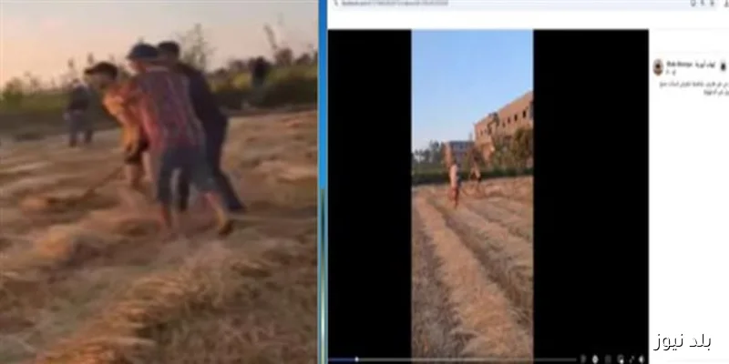 مزارع ونجله في الدقهلية يتعرضان للاحتجاز بعد مشاجرة بسبب خلافات الجيرة