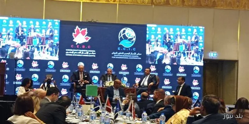 مصر تواجه تحديات في تحقيق الاكتفاء الذاتي من القمح بسبب نقص المياه