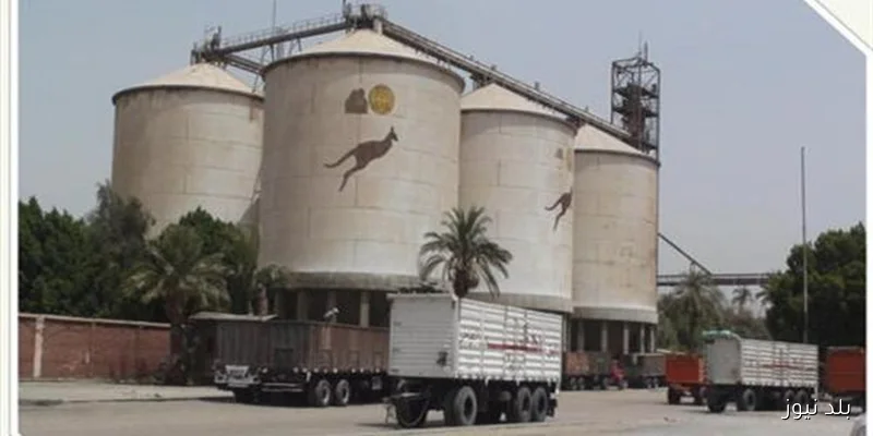 مطاحن شمال القاهرة تخطط لتحويل أرضها بمدينة نصر إلى نشاط تجاري إداري سكني ضمن نظام الشراكة