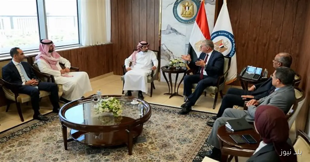 وزير البترول يبحث تعزيز التعاون في البتروكيماويات والأسمدة مع وفد سعودي مصري للاستثمار