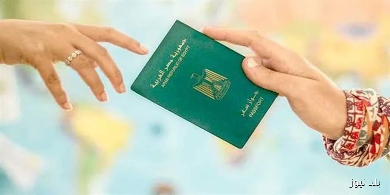 وزير الداخلية يوافق على استعادة الجنسية المصرية لـ 18 فردًا