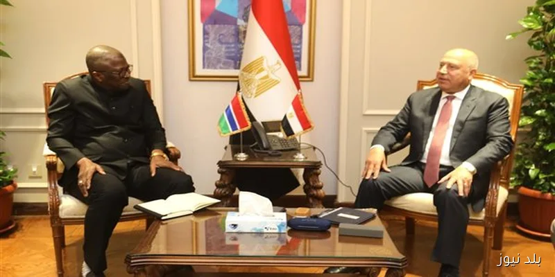 وزير الصناعة يستقبل وزير الدفاع الجامبي لتعزيز الشراكة وبحث سبل التعاون المشتركة