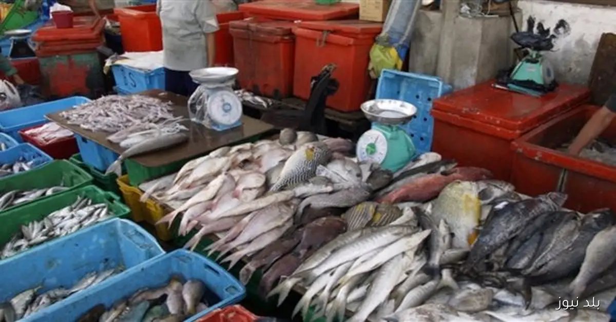 أسعار الأسماك في سوق العبور اليوم الخميس 30 أكتوبر 2025