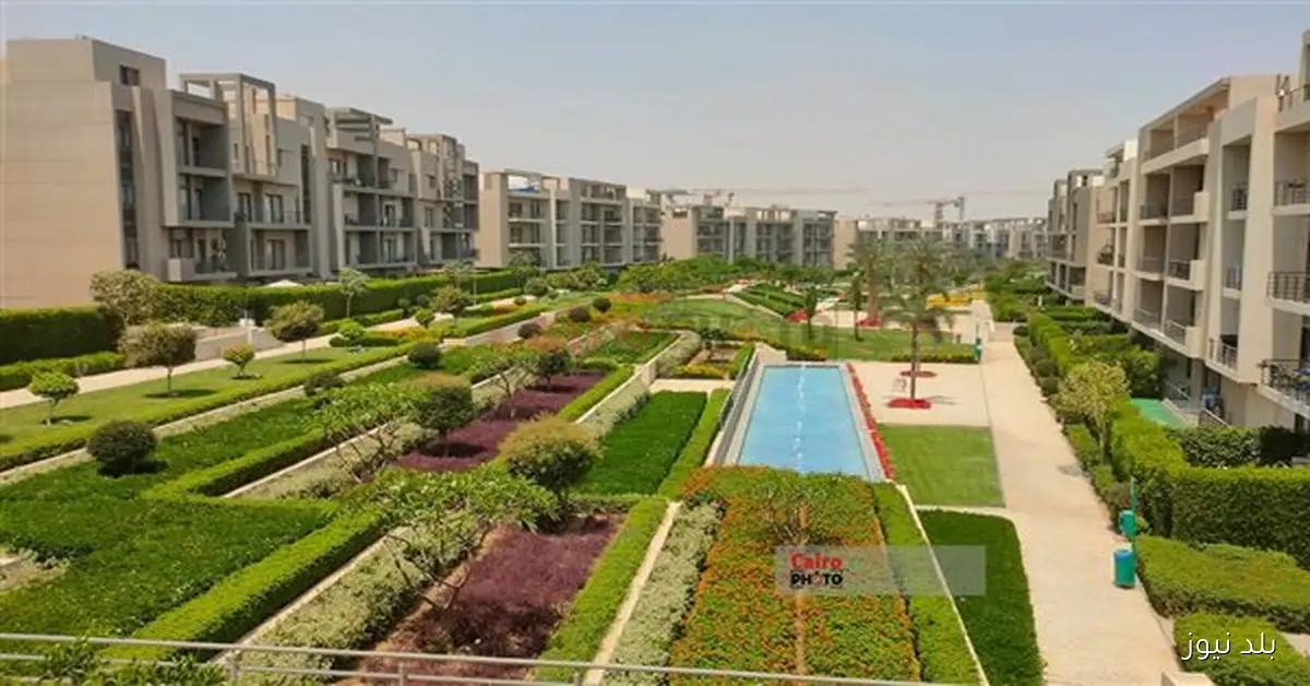 استراتيجية العمران الأخضر وقدرتها على جذب القطاع الخاص لمواجهة التغيرات المناخية بحسب آراء خبراء دوليين