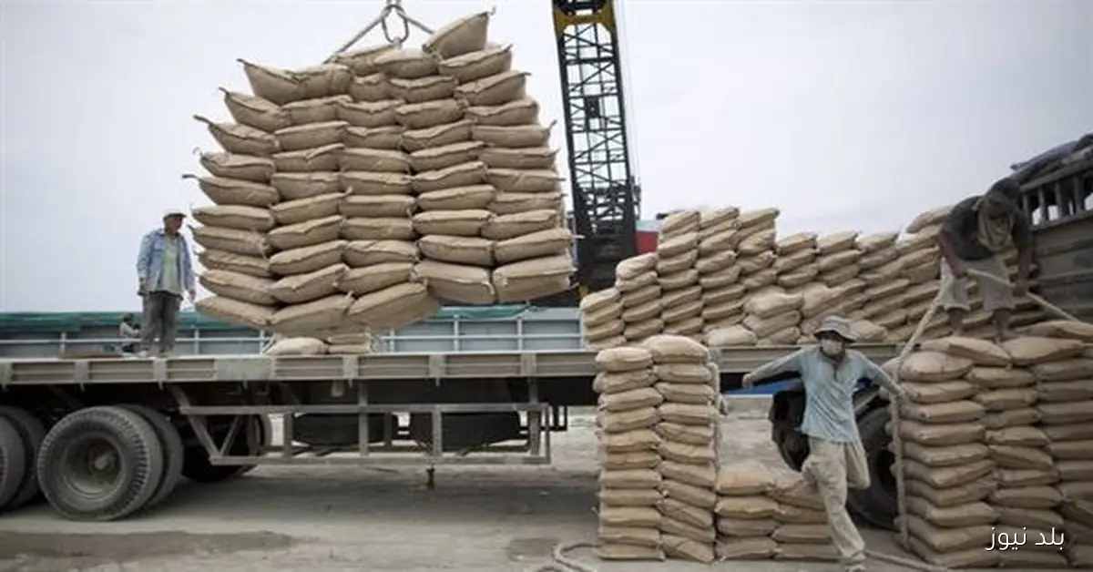 الرقابة المالية تقترب من الموافقة على استحواذ فيكا مصر على أسهم أسمنت سيناء