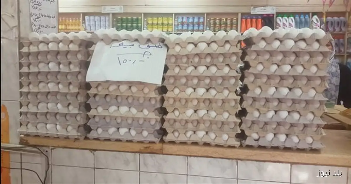 انخفاض ملحوظ في أسعار البيض مع توقعات بالاستقرار بعد الارتفاعات الأخيرة وفقاً لشعبة المواد الغذائية