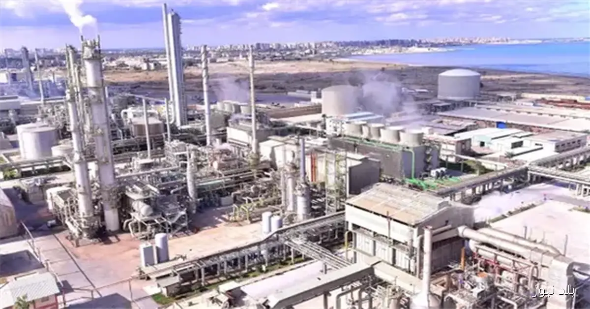 تطوير مصانع الغزل والنسيج يعزز قدرة مصر على جذب الاستثمارات الأجنبية وفقاً لأمين صندوق الغرف التجارية