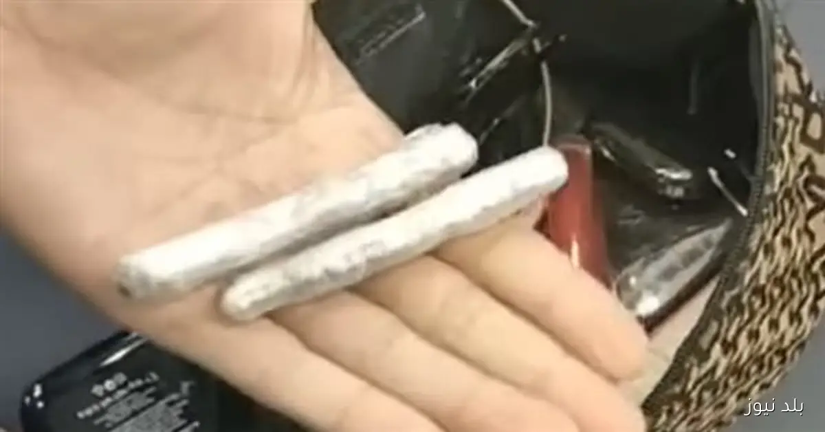 جمارك مطار الغردقة تكشف محاولة تهريب كمية من مخدر الحشيش