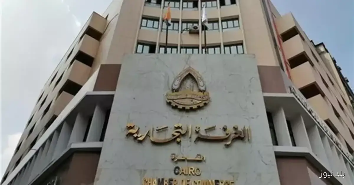 رئيس شعبة الأجهزة الكهربائية يؤكد أهمية خفض الرسوم الجمركية في تعزيز نمو الصادرات