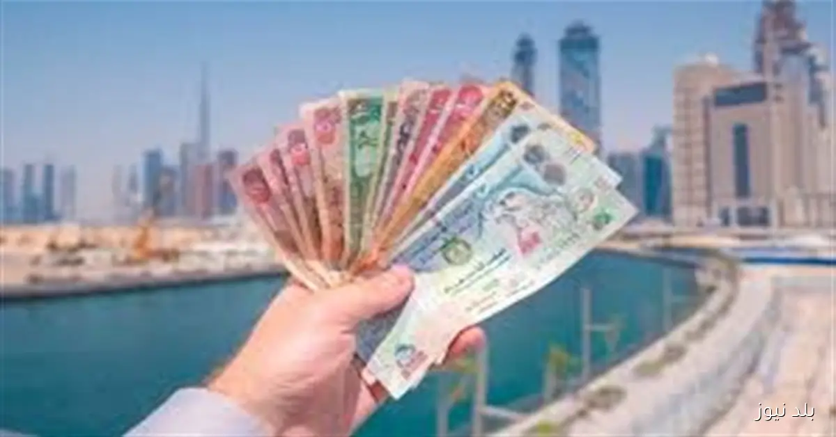 سعر الدرهم الإماراتي مقابل الجنيه المصري في ختام تعاملات الأحد