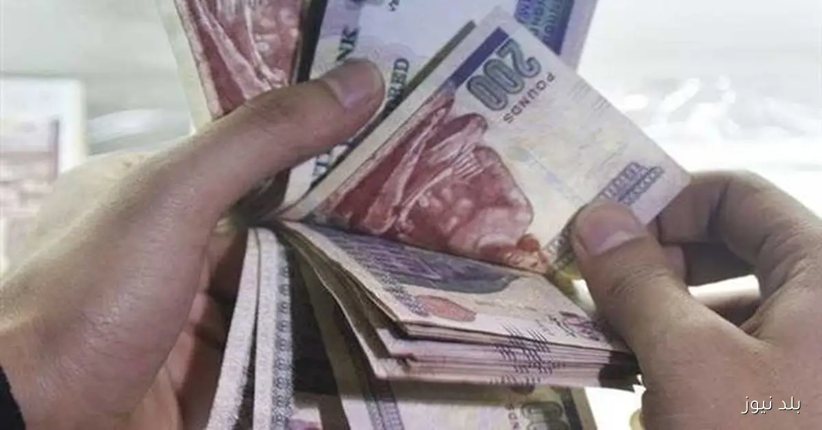 شهادات البنك الأهلي المصري 2025 تعزز العوائد حتى 23% وتوفر استثماراً آمناً للجميع