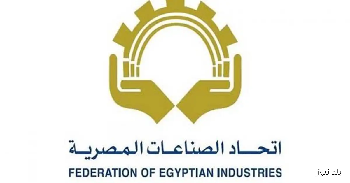 فوز 12 عضوًا في انتخابات غرفة الصناعات المعدنية للدورة 2025-2029