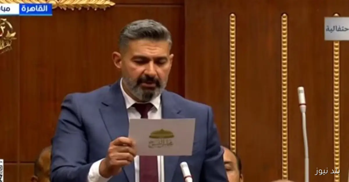 محمد عمران رئيسًا للجنة الثقافة والإعلام بمجلس الشيوخ وياسر جلال وكيلًا