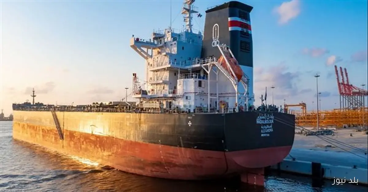 مصر تستقبل 66 ألف طن قمح من فرنسا