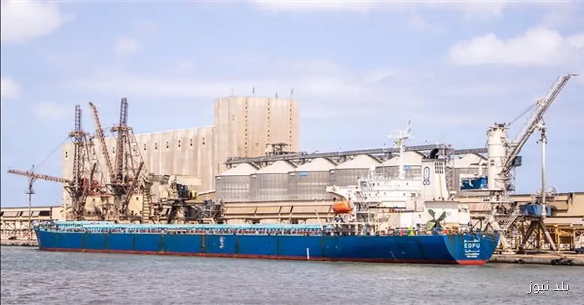 ميناء دمياط يستقبل 1767 رأس ماشية و2718 طن قمح