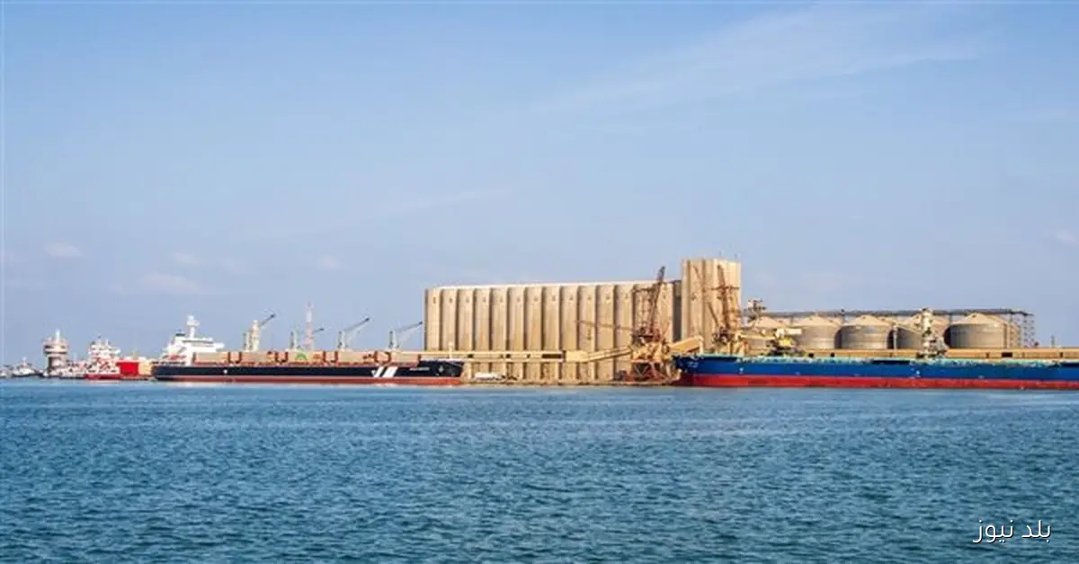 ميناء دمياط يستقبل 73 ألف طن من البضائع المتنوعة في 24 ساعة