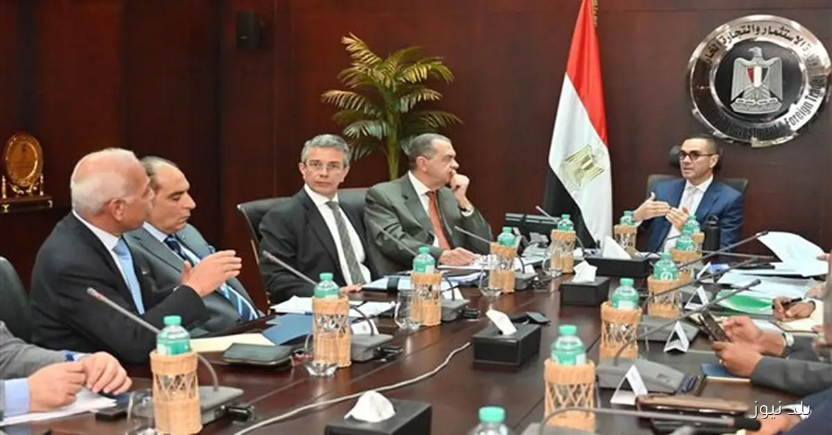 وزير الاستثمار يعرض خطة تطوير منظومة الإفراج الجمركي وتيسير حركة التجارة