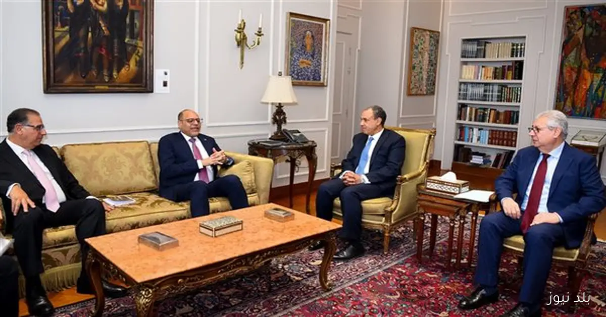 وزير الخارجية ووزير العمل يبحثان إنشاء قاعدة بيانات وطنية للعمالة المصرية بالخارج