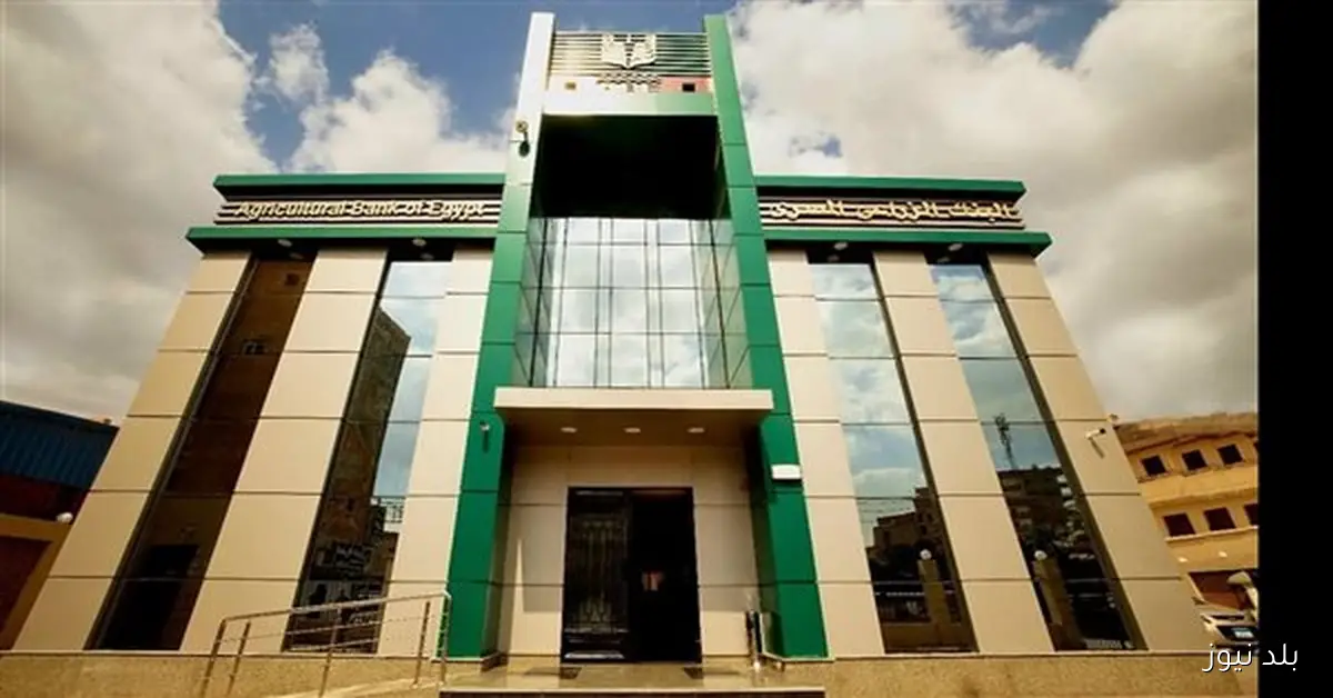 وظائف البنك الزراعي المصري 2025 الشروط وطريقة التقديم