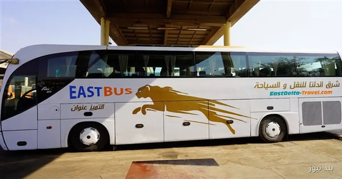 أتوبيسات مجانية لزائري معرض TransMEA 2025 من 4 شركات حكومية في 9 محافظات