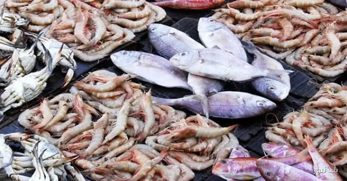 أسعار الأسماك اليوم الخميس 13 نوفمبر 2025 في الأسواق