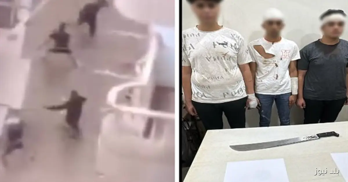 أطراف مشاجرة بالأسلحة البيضاء في الدقهلية تحت القبض بسبب خلافات سابقة