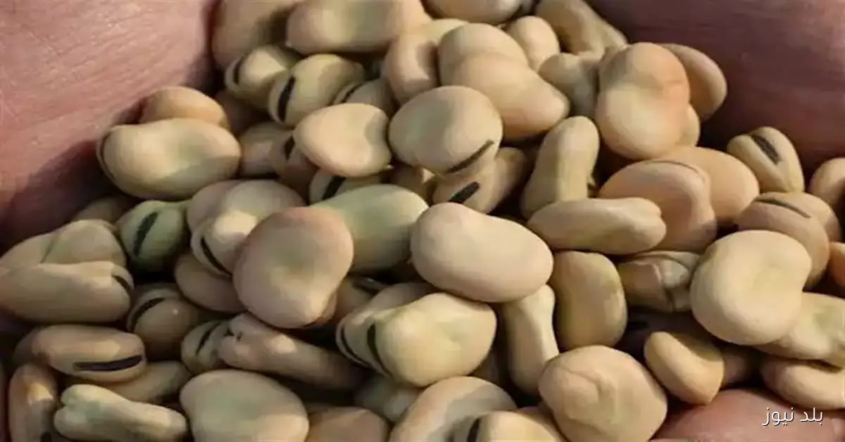 ارتفاع أسعار الفول والزيت والمكرونة اليوم الأربعاء في الأسواق المحلية