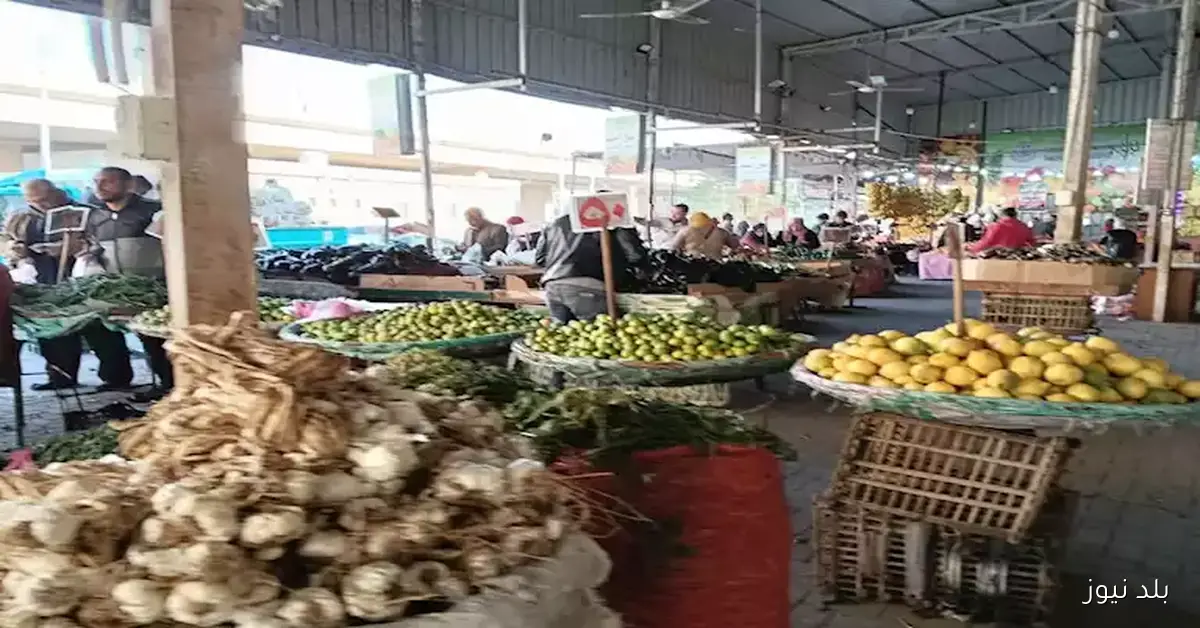 ارتفاع أسعار الليمون.. تحديث حول أسعار الخضروات والفاكهة في سوق العبور اليوم