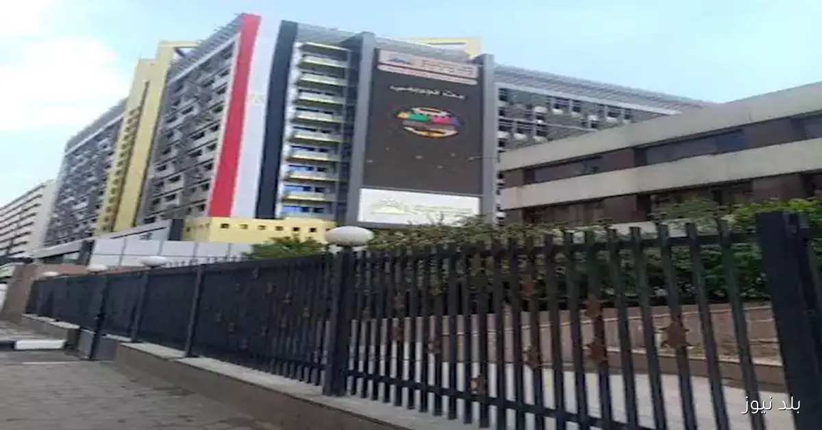 ارتفاع ملحوظ: 6.7% زيادة في قيمة الصادرات المصرية خلال أغسطس الماضي