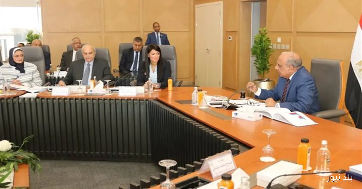 استثمارات شركة نقل الكهرباء تصل إلى 44.9 مليار جنيه بحلول 2026