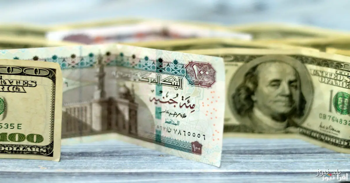 استقرار سعر الدولار أمام الجنيه المصري في تعاملات السبت