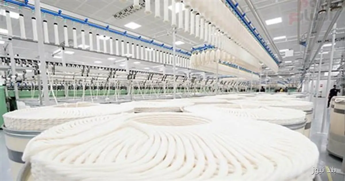 الذهب الأبيض يشهد انتعاشًا جديدًا مع خطة استثمارية بقيمة 55 مليار جنيه لإحياء مصانع الغزل والنسيج في مصر