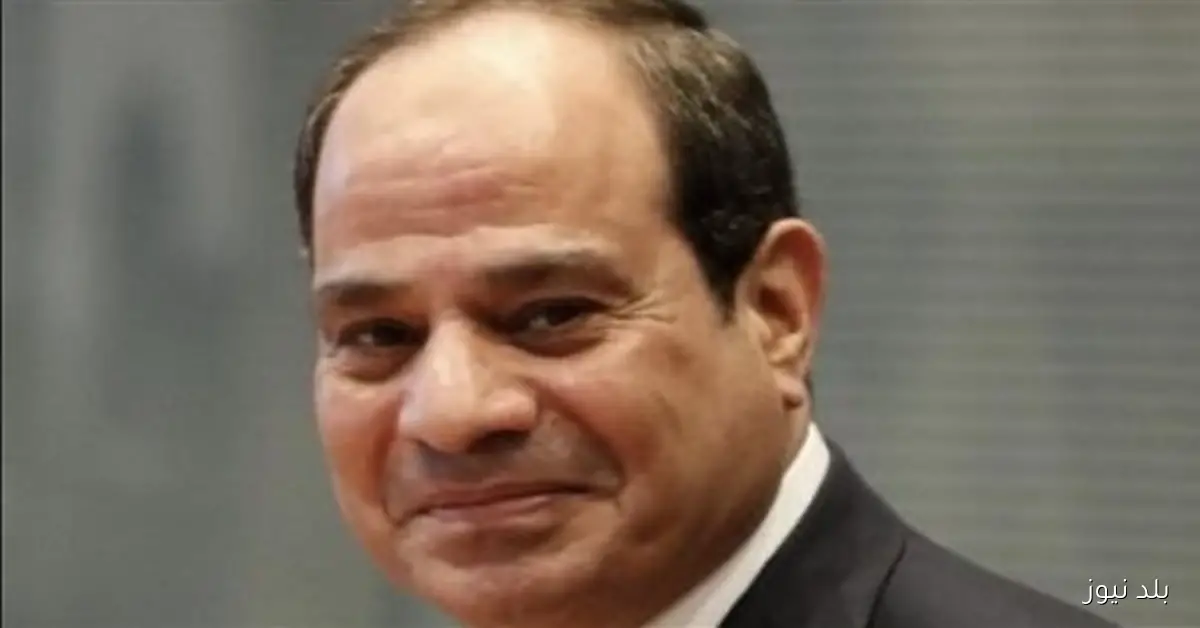 الرئيس السيسي يلتقي مسئولي الشركات العالمية الموقعة على اتفاقيات صناعة التعهيد بمصر